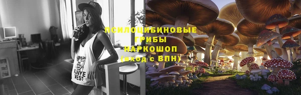 ешки Арсеньев