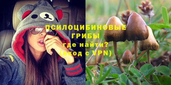 ешки Арсеньев