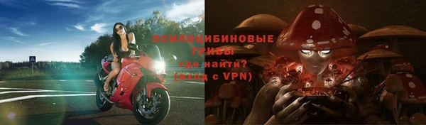 ешки Арсеньев