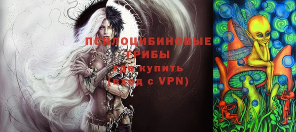 ешки Арсеньев