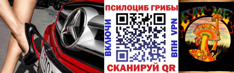 omg ССЫЛКА Россошь Галлюциногенные грибы ЛСД даркнет состав где можно купить наркотик